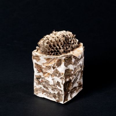 Unik futteral (beholder) med hvepsepapir